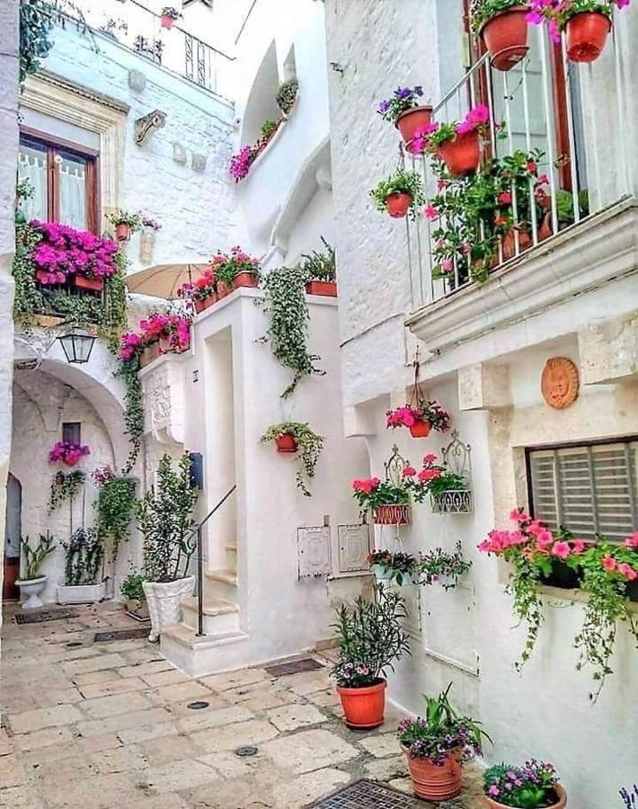 Buze Rodriguez Ostuni